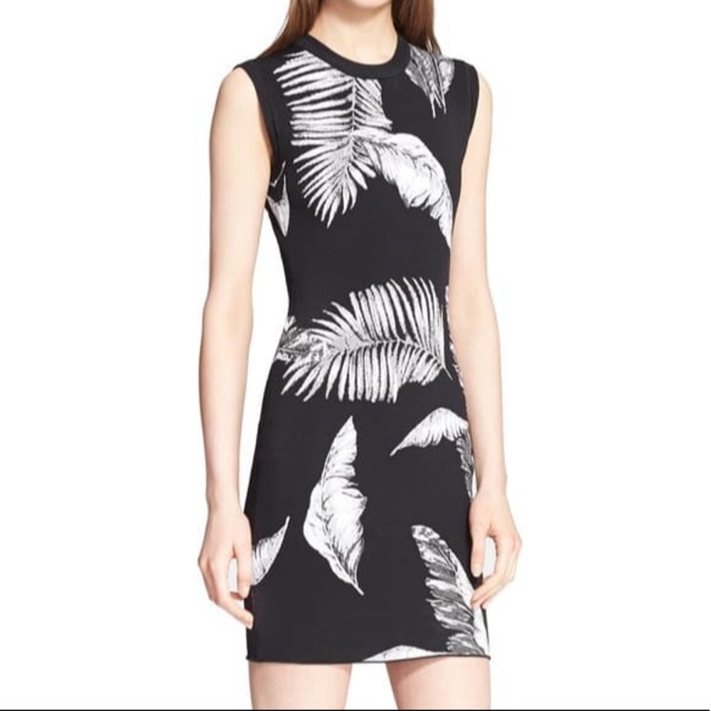 Alexander Wang Dress
